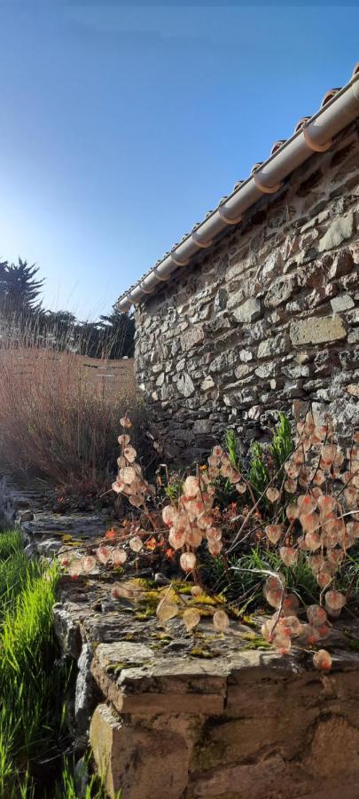 Maison De Village 4 A 6 Pers A 5 Min De La Mer Brétignolles-sur-Mer Exteriér fotografie